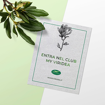 Stampa Flyer piantabili